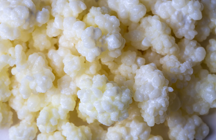 Şişedeki şifa şüphesi: Hazır kefir ve kombucha gerçekten faydalı mı Şişedeki şifa şüphesi: Hazır kefir ve kombucha gerçekten faydalı mı