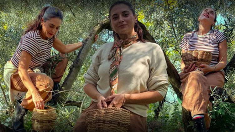 Aslıhan Gürbüz bahçeye girdi... “Bu yıl zeytin yüzümü güldürdü”