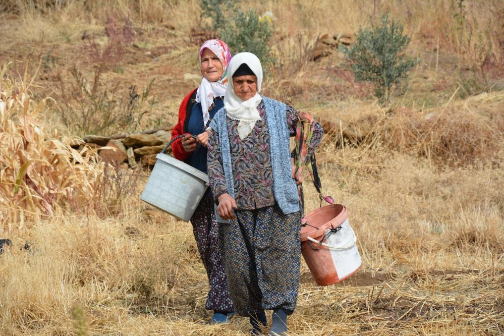 Dağlarda kendiliğinden yetişiyor: 78 yaşındaki nine yıllardır topluyor Bol olduğu için kendimiz yemeyip satıyoruz