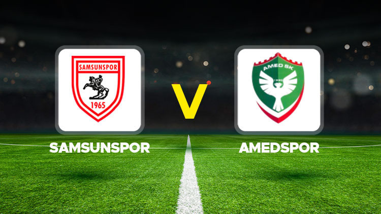 amedspor-samsunspor-türkyede iş dünyası