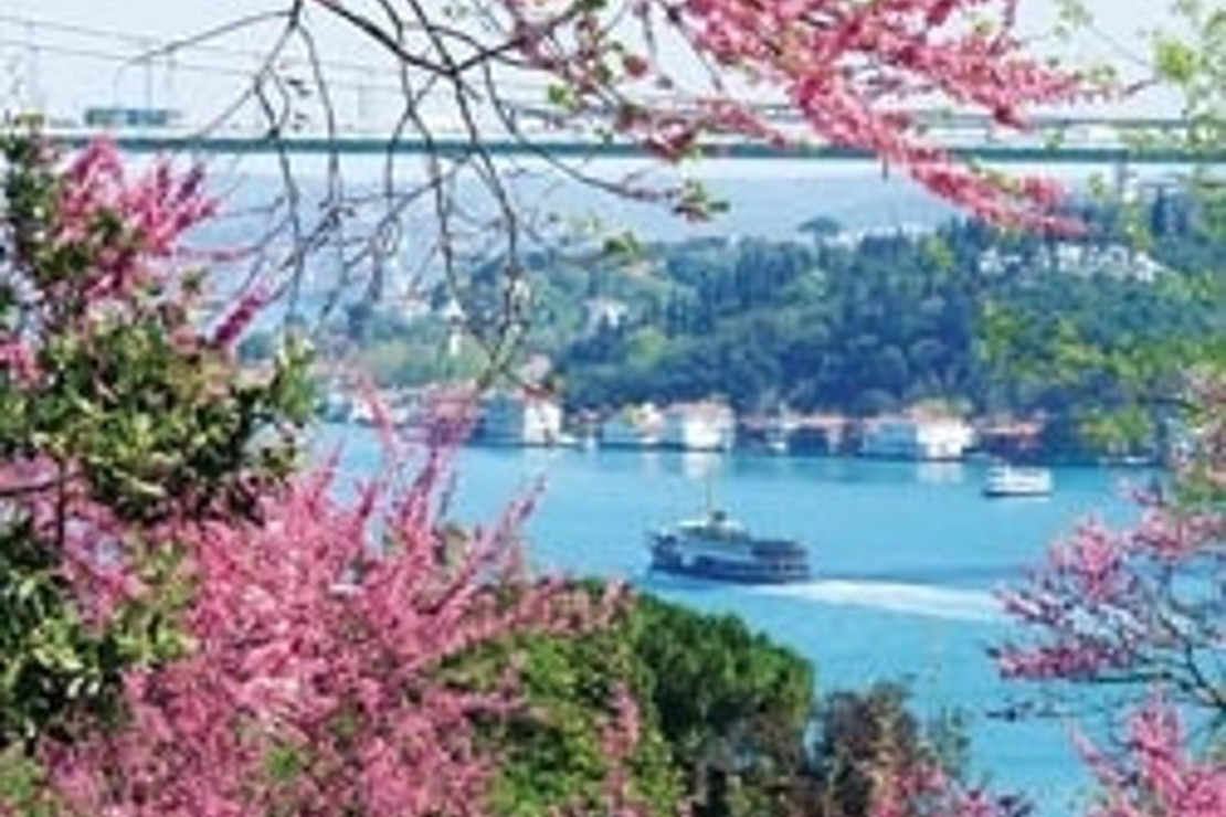 Boğaziçi’nin en güzel erguvan gözlemi noktaları