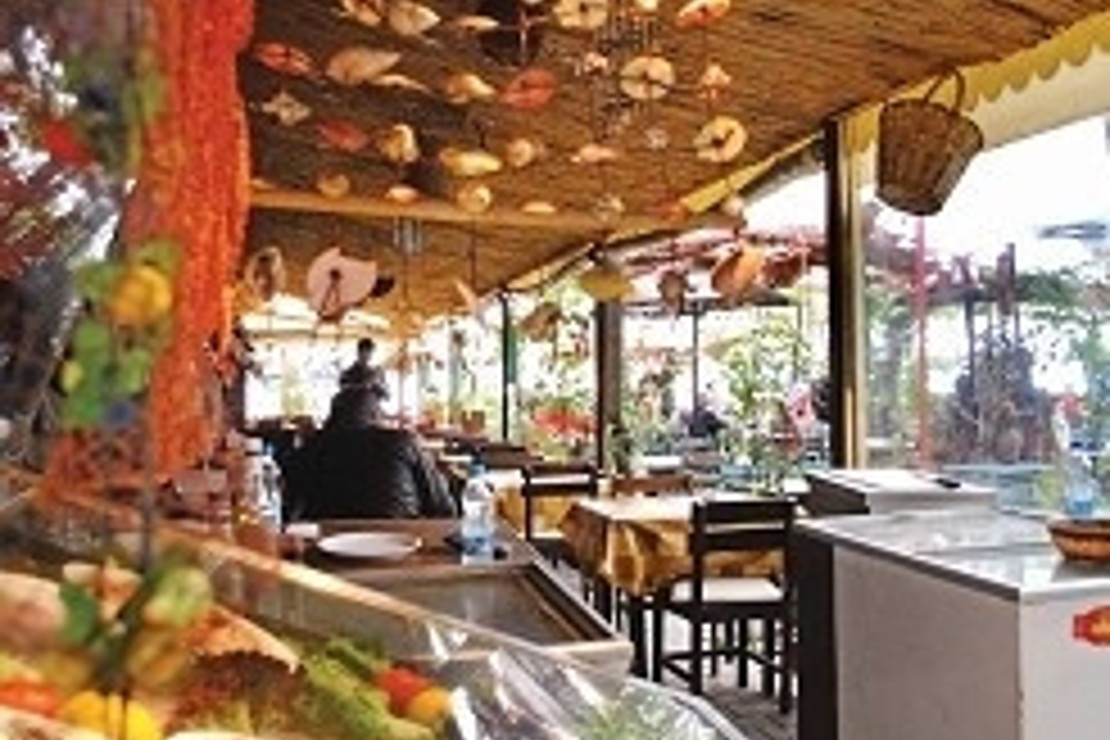 En iyi 10 salaş balıkçı