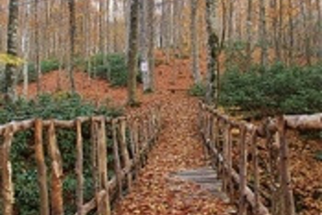 Trakya’nın Karadeniz kıyıları baharı karşılıyor