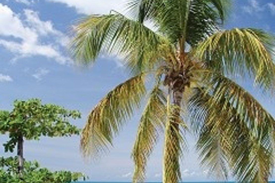 Ocak ayında içinizi ısıtacak beş şehir