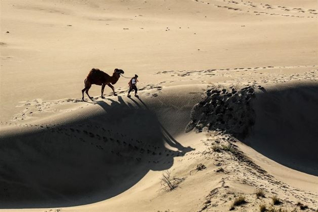 Burası Mısır'ın çölleri değil Antalya'nın Patara'sı