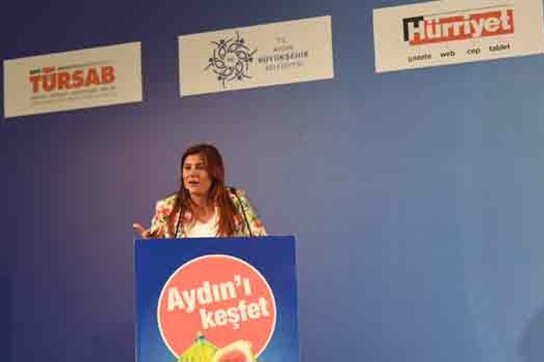 Aydın'ı Keşfetmek
