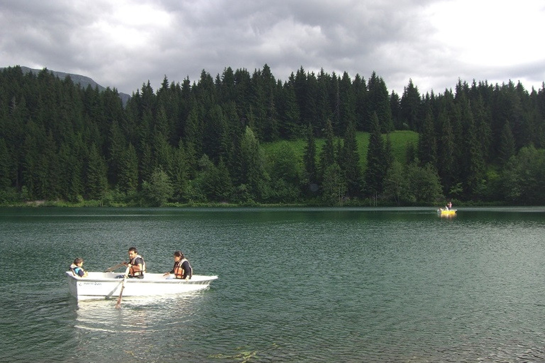 Yeşilin binbir tonu: Karadeniz