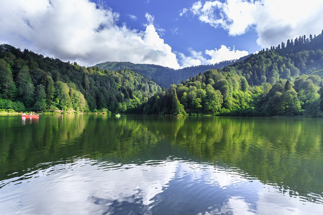Türkiye'nin orman varlığı 22,6 milyon hektarı geçti