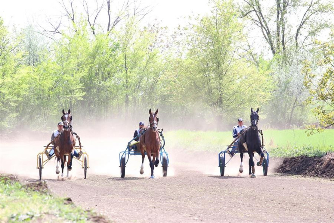 Gagauz Özerk Yeri'nde Hıdırellez Bayramı kutlandı