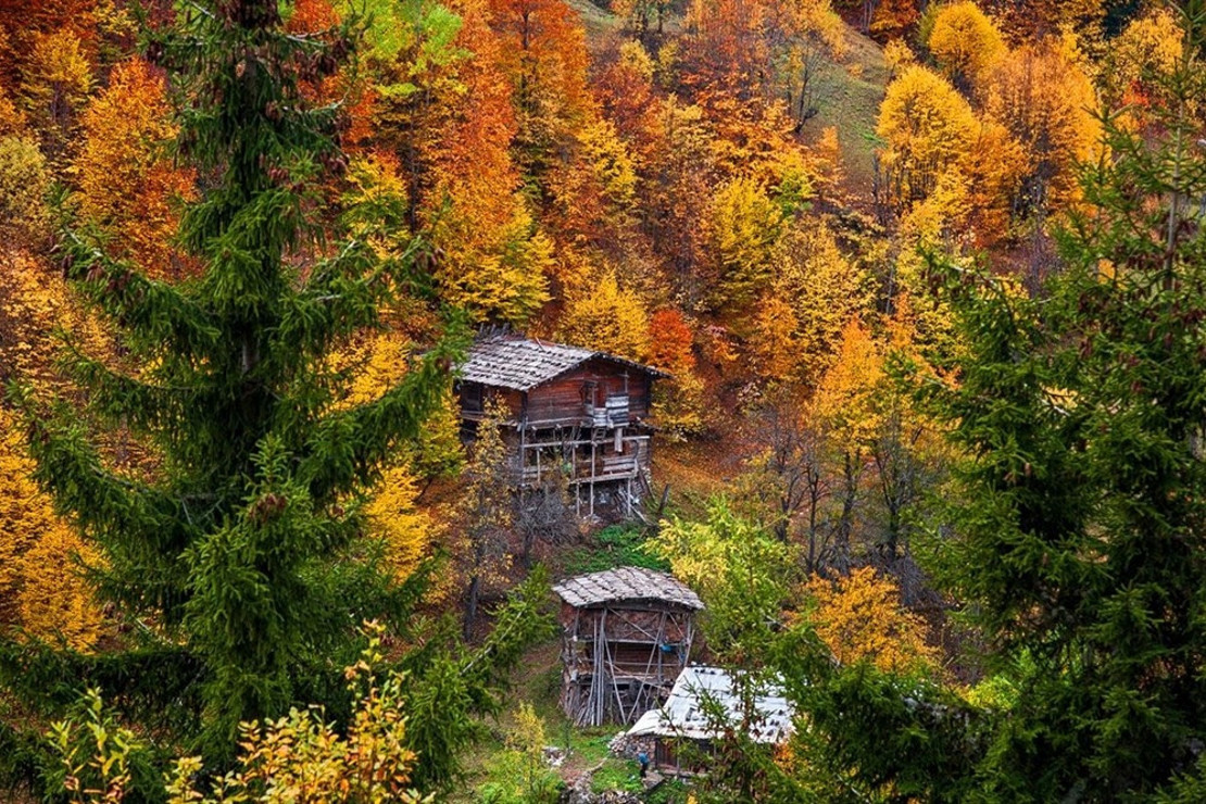 Artvin sonbaharda fotoğraf tutkunlarını cezbediyor