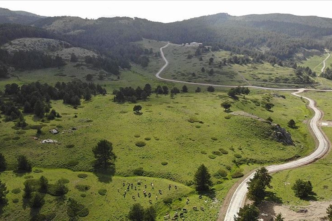 Dumanlı Yaylası izole piknik imkanı sunuyor