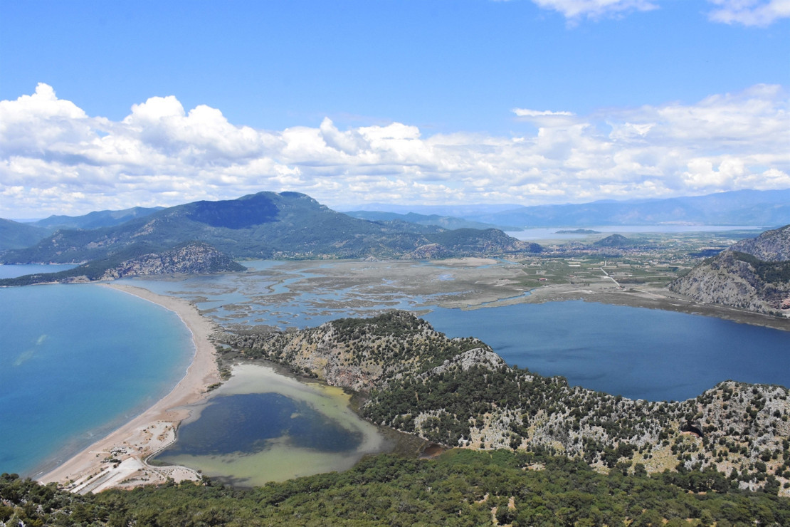 İztuzu Plajı'nda caretta caretta yuvası sayısı 661'e ulaştı