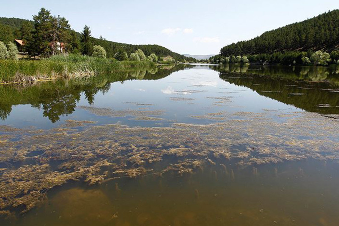 Çamkoru Tabiat Parkı Nerede Ve Nasıl Gidilir? Giriş Ücreti Ve Ziyaret Saatleri (2023)