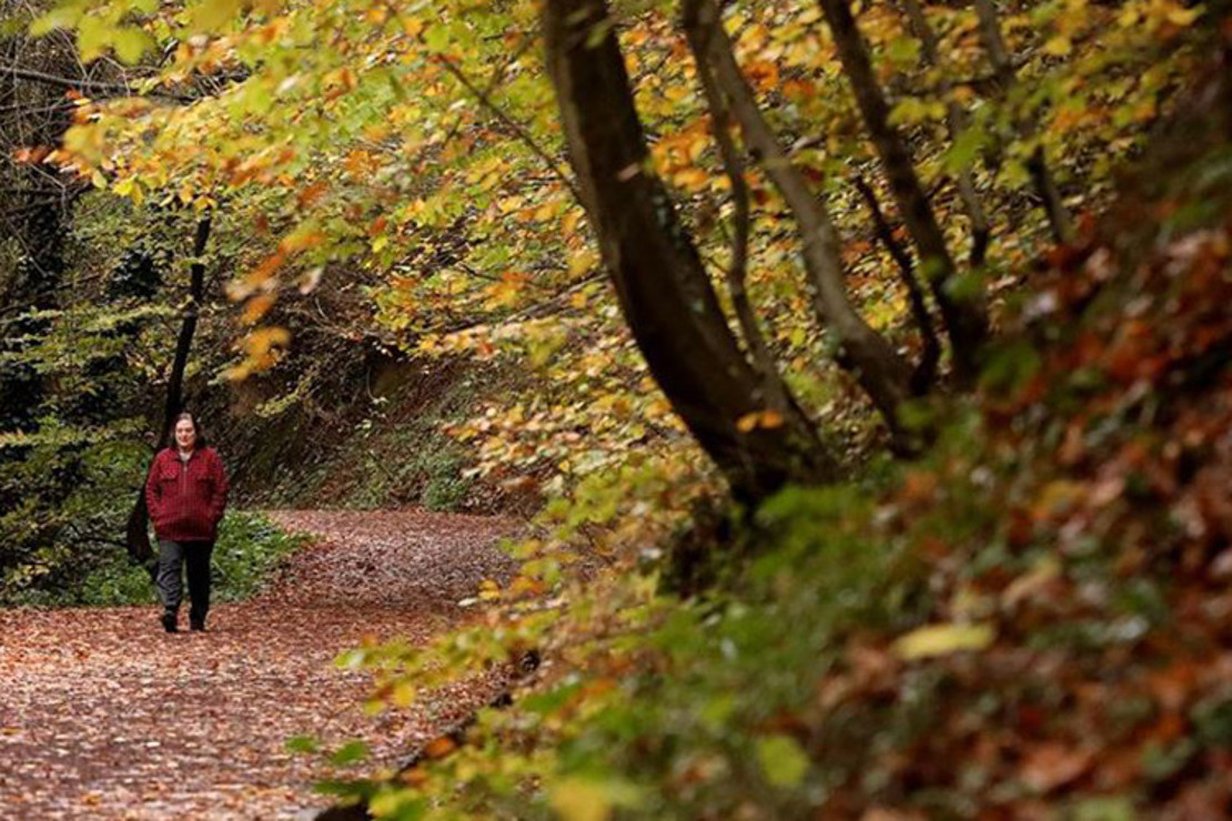 Polonezköy Tabiat Parkı Nerede Ve Nasıl Gidilir? Giriş Ücreti Ve Ziyaret Saatleri (2023)