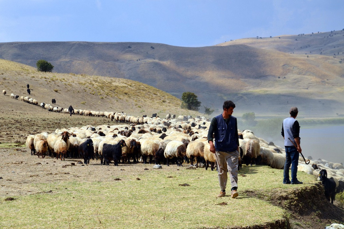 Göçerlerin zorlu dönüş yolcuğu