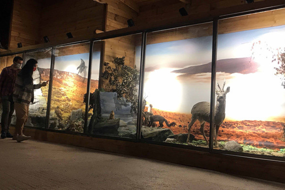 Nadir tabiat varlıklarını gelecek nesillere taşıyan müze