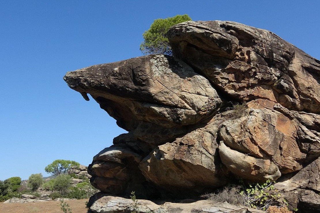 Latmos'un 12 bin yıllık kaya resimleri dünyaya açılacak