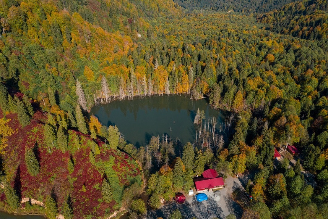 Artvin’de masalsı sonbahar manzaraları