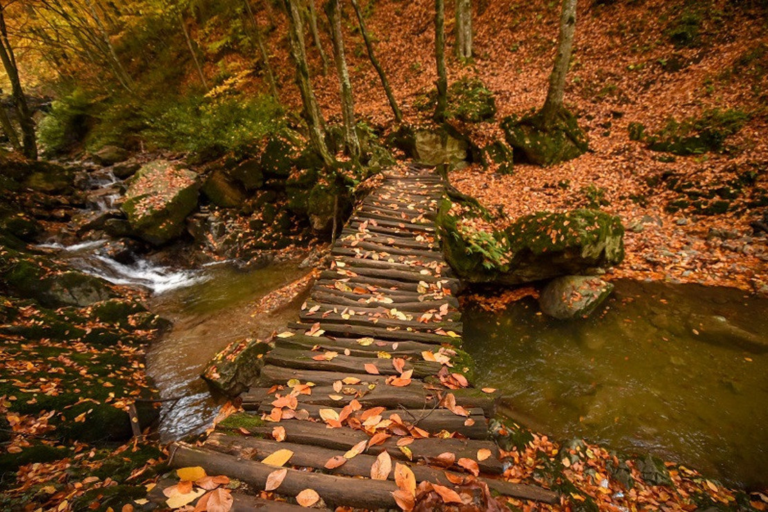 Turizm cenneti Oylat'ta sonbahar güzelliği