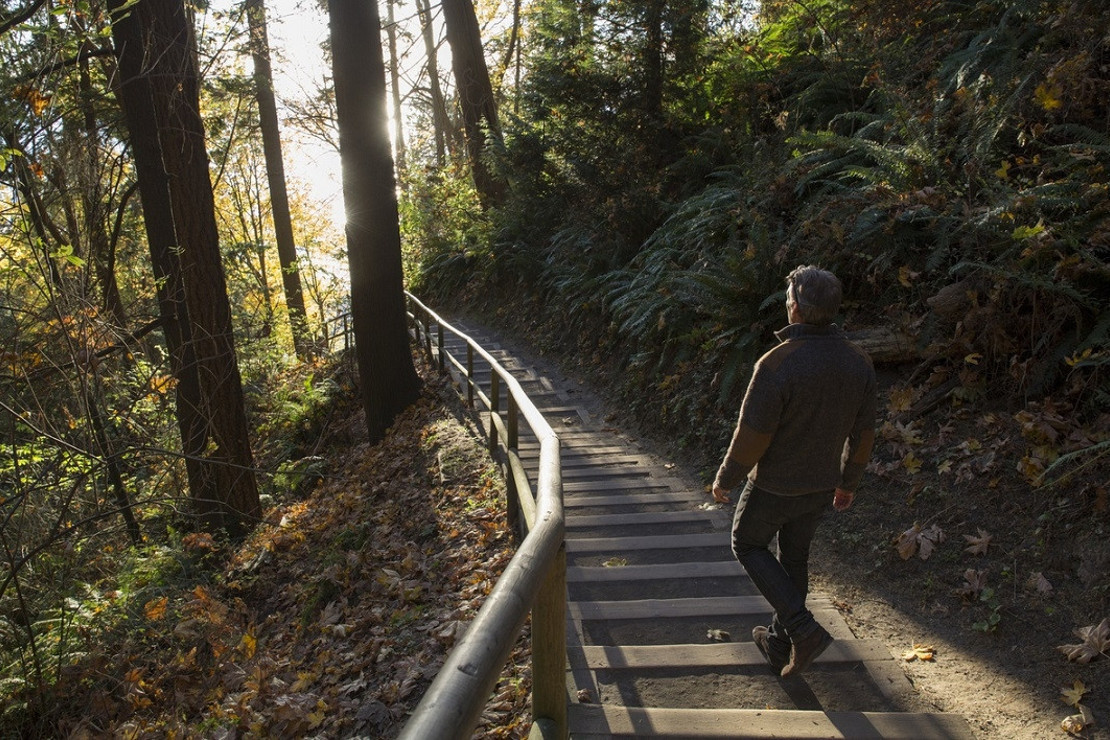 Kısıtlama sonrası gidilecek İstanbul'un yanı başındaki yürüyüş rotaları