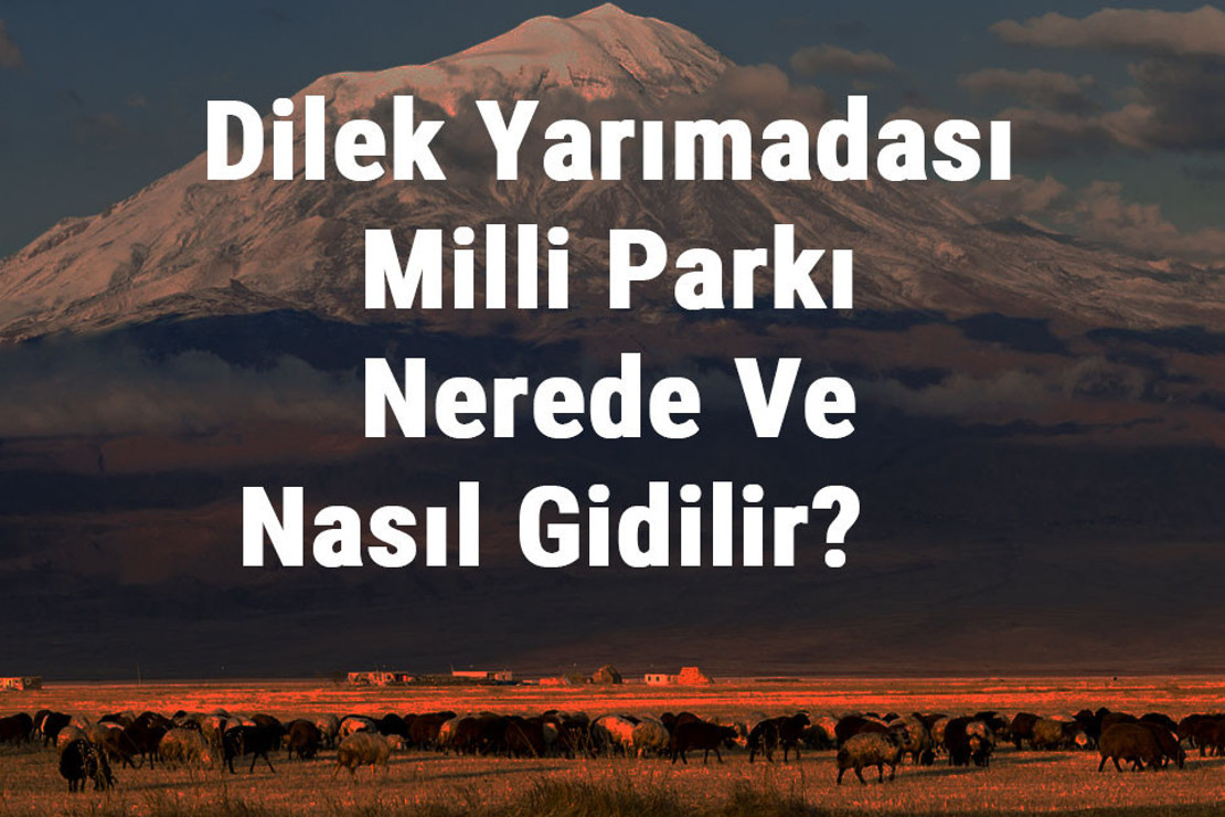 Dilek Yarımadası Milli Parkı Nerede Ve Nasıl Gidilir? Dilek Yarımadası Milli Parkı Konaklama, Kamp, Giriş Ücreti Ve Özellikleri Hakkında Bilgi