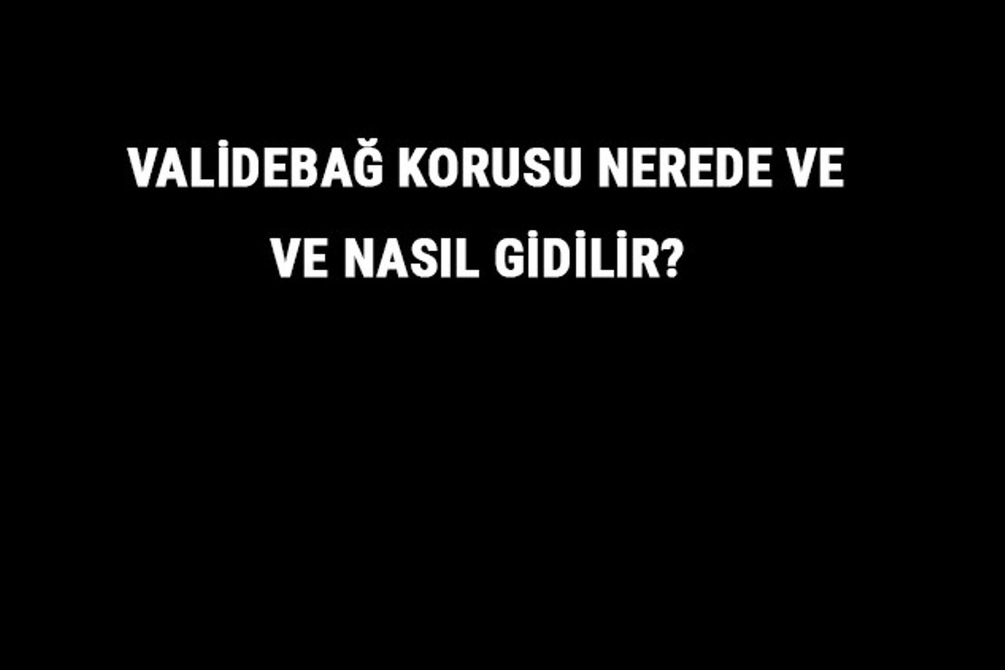 Validebağ Korusu Nerede Ve Nasıl Gidilir? Validebağ Korusu Tarihi, Giriş Ve Kahvaltı Ücreti Hakkında Bilgi