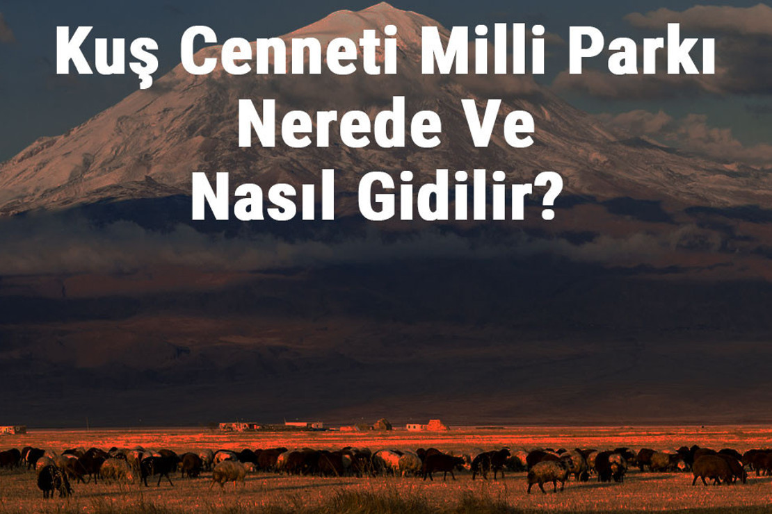 Kuş Cenneti Milli Parkı Nerede Ve Nasıl Gidilir? Kuş Cenneti Milli Parkı Konaklama, Kamp, Giriş Ücreti Ve Özellikleri Hakkında Bilgi