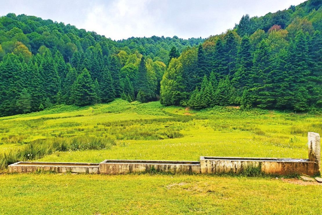 Büyük şehirlerin yanı başındaki en güzel 10 kamp alanı 