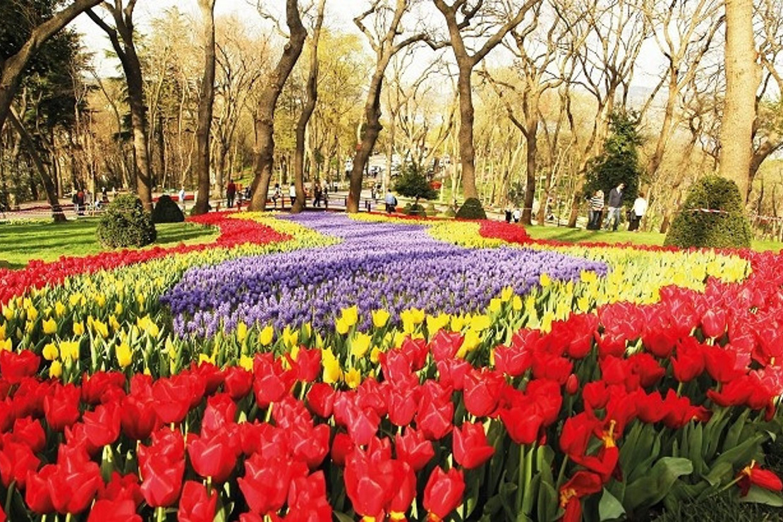 Baharın tadını parklarda çıkaralım...