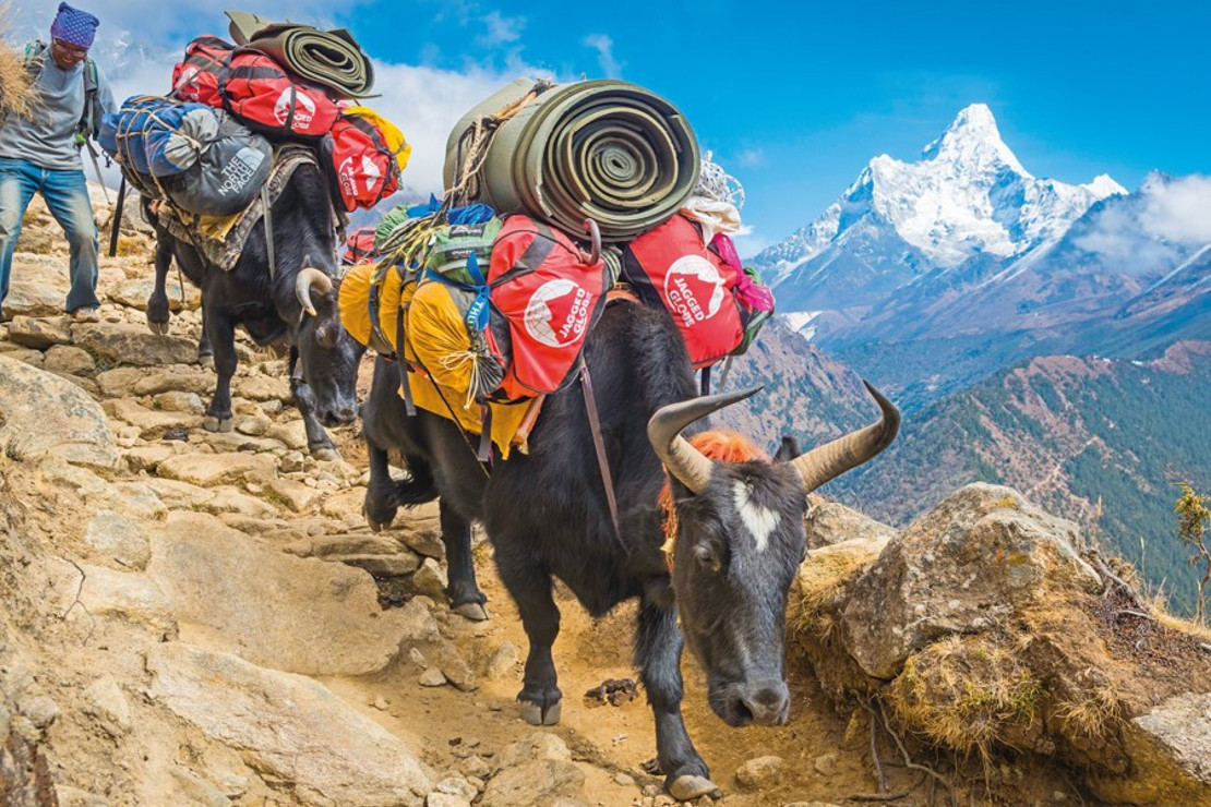 ‘Bu kez kendi sınırlarımı bile aşıyorum’