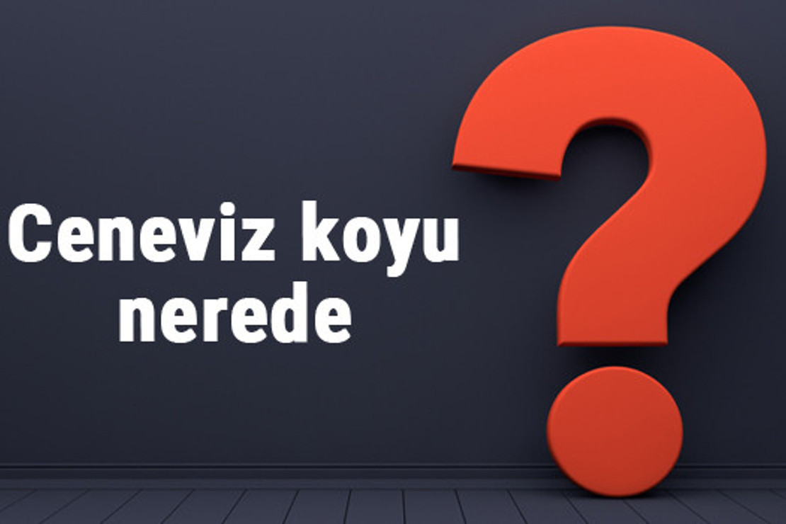 Ceneviz koyu nerede, nereye bağlı? Ceneviz koyuna nasıl gidilir koyda neler yapılır?