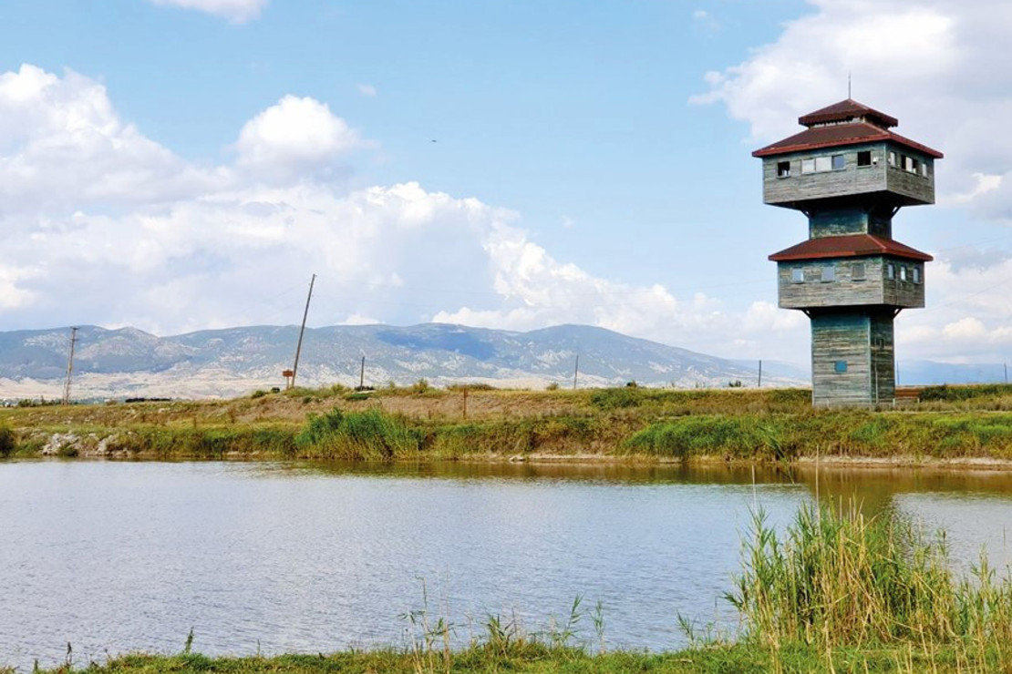 ‘Hey 15’li 15’li, Tokat yolları taşlı