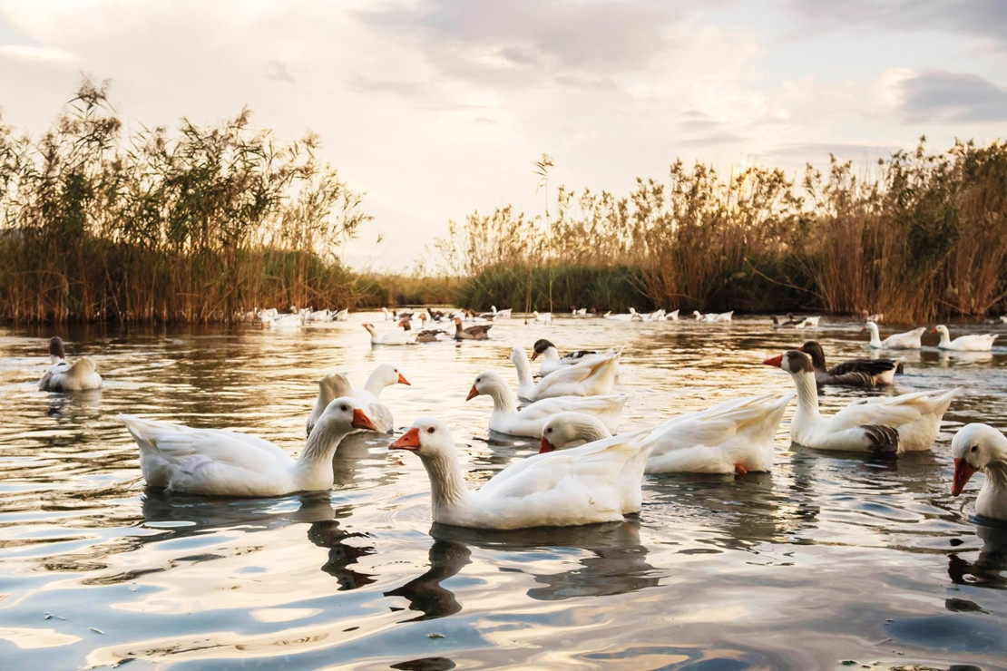 Muğla sorumluluk alacak turistleri bekliyor