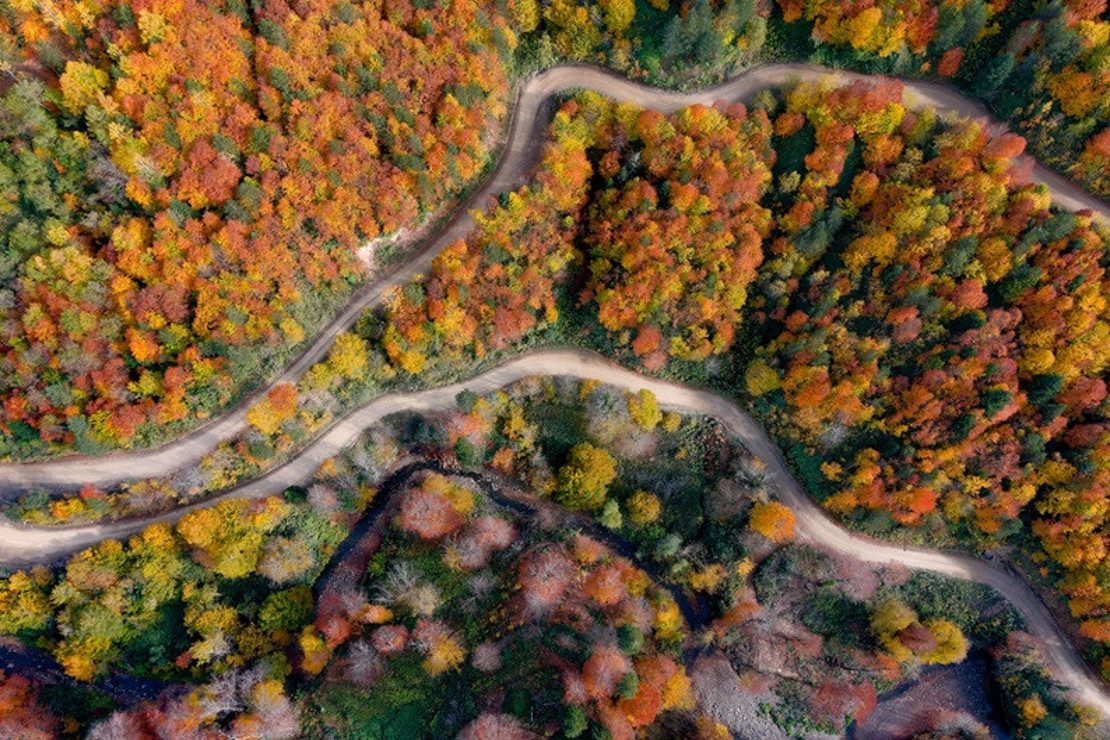 Sonbaharın kalbine yolculuk: Ekim ayında gidilmesi gereken 6 doğa rotası