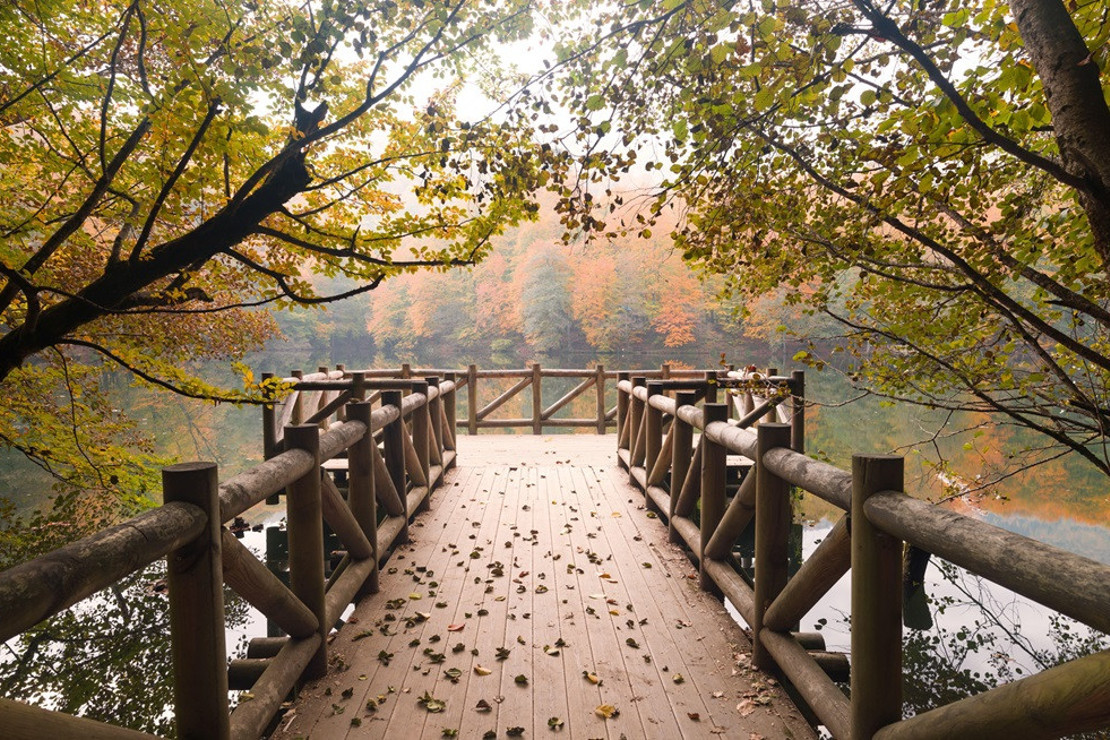 Rengârenk göller ve doğa: Yedigöller’de güz keyfi