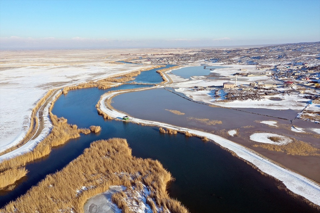 Iğdır’ın kuş cenneti: Dondurucu soğuklara rağmen 35 kuş türü yaşıyor