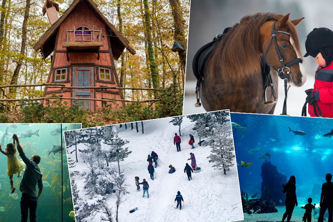Çocuklarla sömestir tatili için rotalar: İstanbul ve çevresinden 15 harika adres