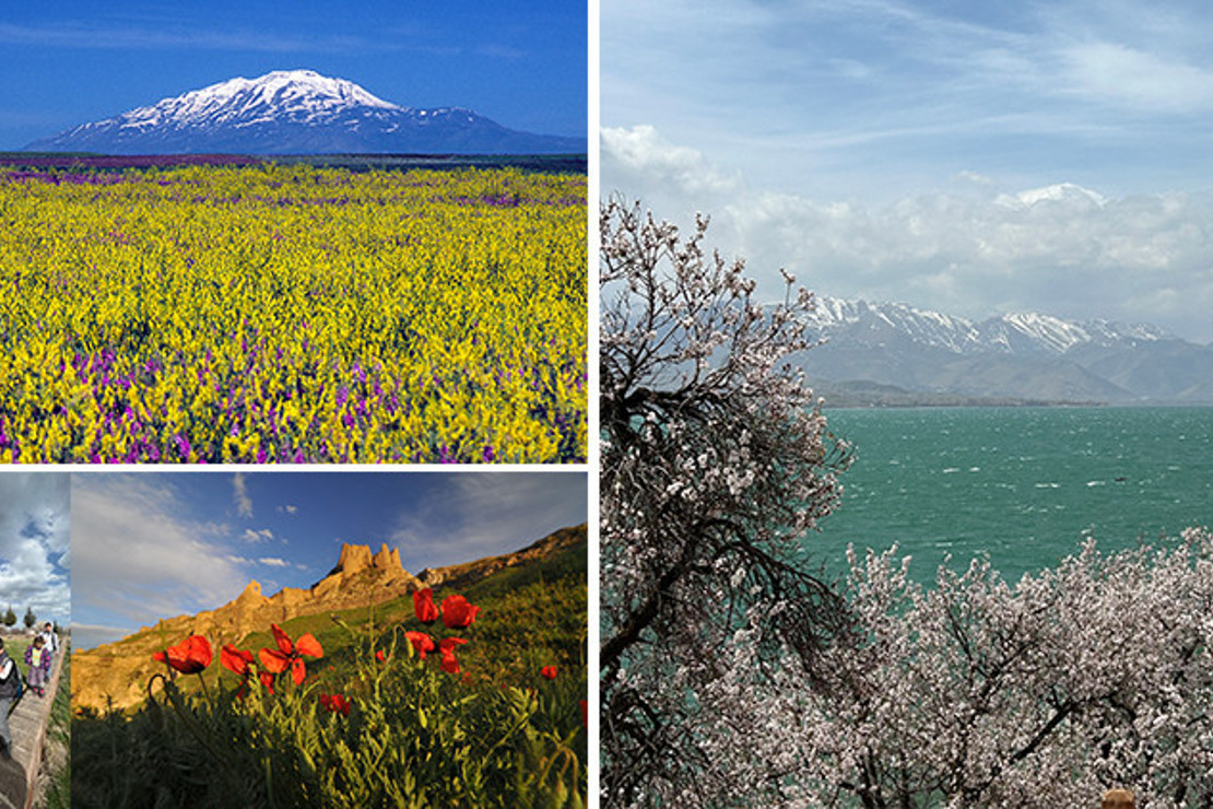 Ahlat’tan Van’a, badem çiçeklerinin peşi sıra