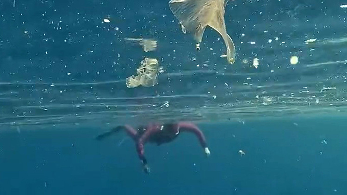 Prof. Dr. Öztürk'ten Kaş'taki plastik kirliliği uyarısı
