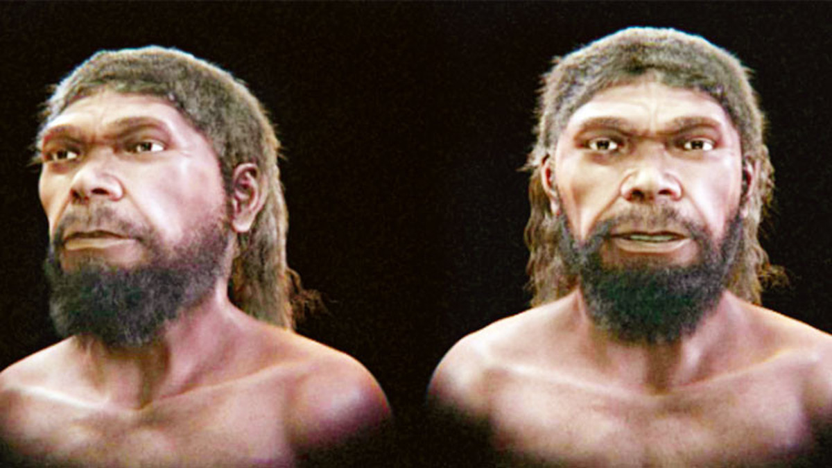 315 bin yıllık Homo sapiens yüzü