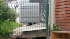 Enerji Bakanı Taner Yıldız: Trafoya kedi girdi