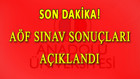 Anadolu Üniversitesi AÖF sınav sonuçları açıklandı