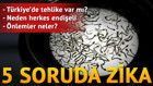 5 soruda Zika virüsü