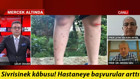 Sivrisinekler bu yıl neden daha fazla Uzmanlar CNN Türk ekranlarında uyardı
