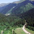 Yeşil Yol güzergahında ağaçlar kesildi