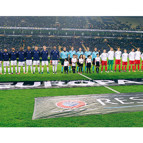 Fenerbahçe - Zorya maçından kareler