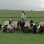 TEOGda Türkiye birincileri arasına girdiler