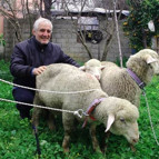 Çevreci çiftin katil zanlısı yakalandı