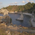Kilimli Koyunu kirletip gittiler