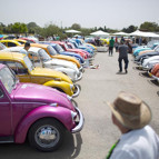 Beetle, Vosvos, Tosbağa... Güle güle